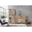 дуб кантри золотой + белый